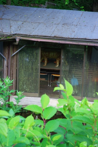 c0156908_222745100.jpg