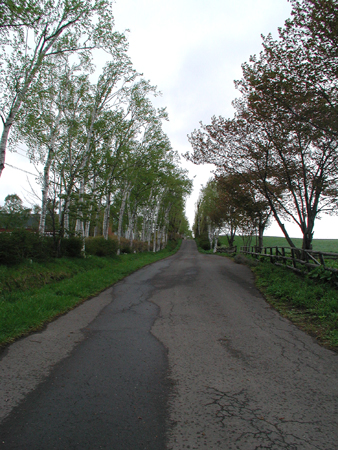 c0170208_1074524.jpg