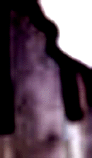 e0103408_13341019.gif