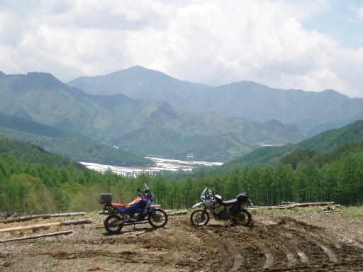 e0118908_1655814.jpg