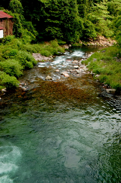 e0174008_213688.jpg