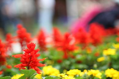 EOS 7D 体感教室_f0155808_12174959.jpg