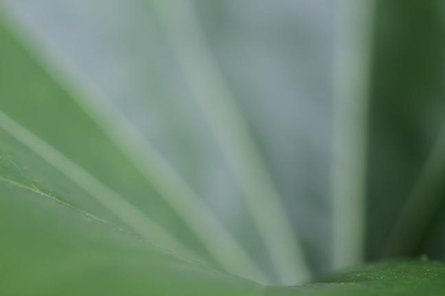 EOS 7D 体感教室_f0155808_12551458.jpg