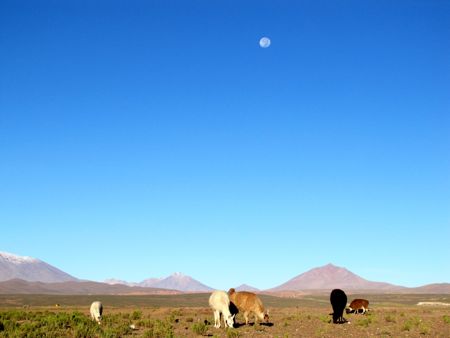 b0051109_7381694.jpg