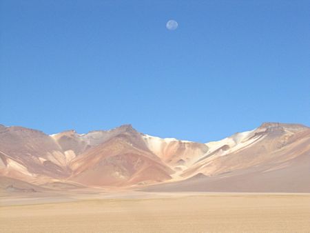 b0051109_747010.jpg