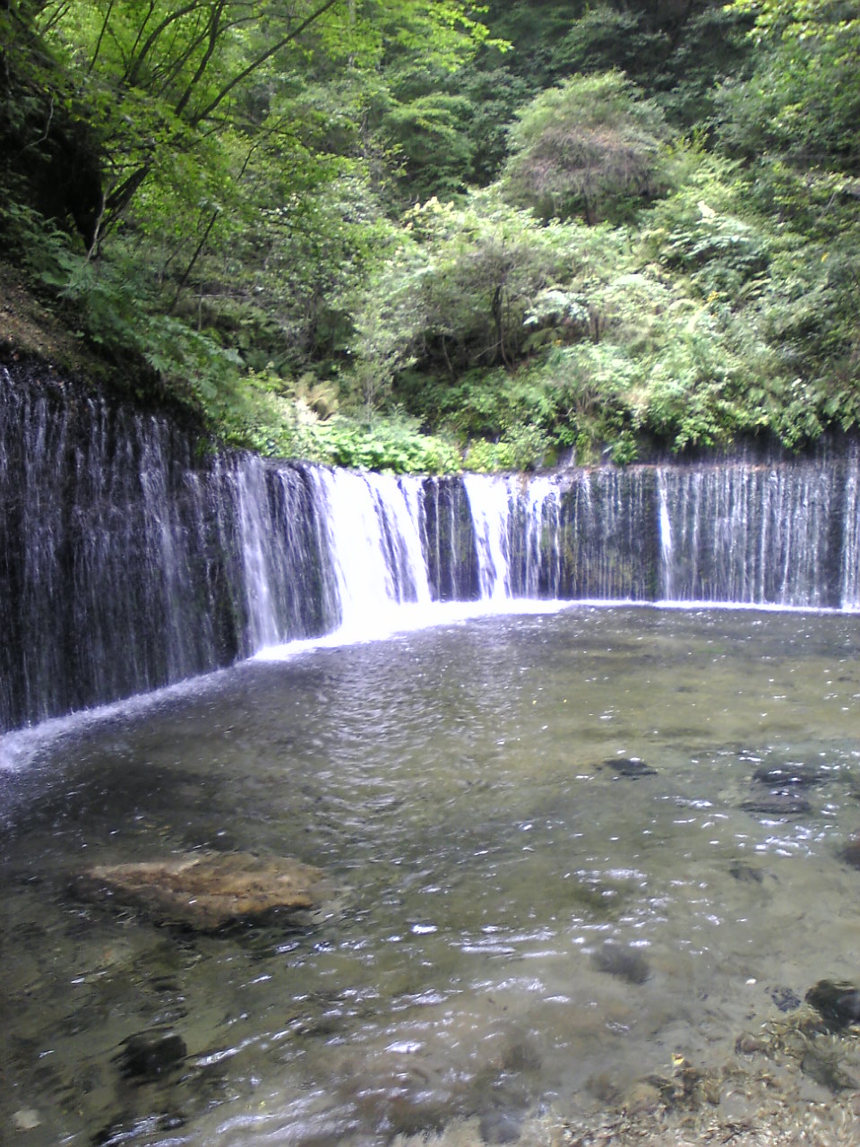 c0109109_1146257.jpg