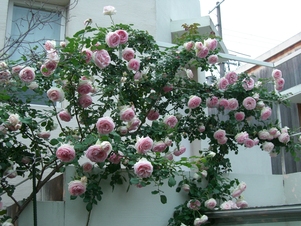 f0035210_164014.jpg