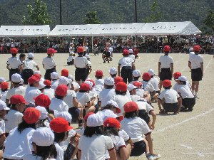 高城台小学校運動会_a0165211_13584165.jpg