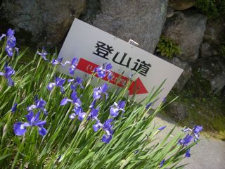 b0183911_2233036.jpg