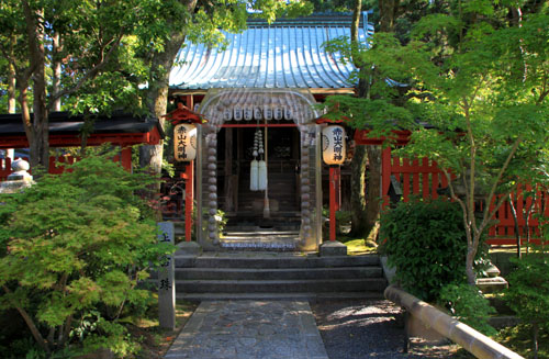 赤山禅院 緑に染まる_e0048413_2019154.jpg