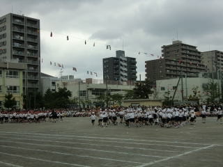f0219716_1746387.jpg