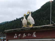 めだかの泳ぐ田んぼで田植え(その1)_e0061225_11385140.jpg