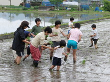 めだかの泳ぐ田んぼで田植え(その1)_e0061225_11405673.jpg