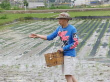 めだかの泳ぐ田んぼで田植え(その1)_e0061225_11494994.jpg
