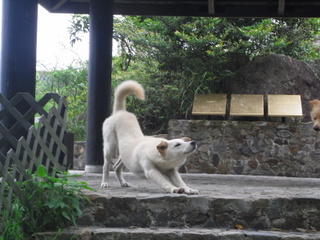 f0032125_17201123.jpg
