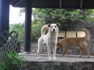 f0032125_17202938.jpg