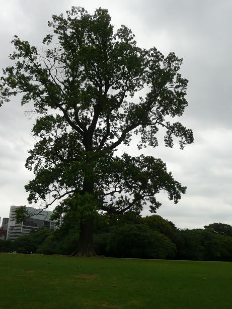 a0050728_7292172.jpg