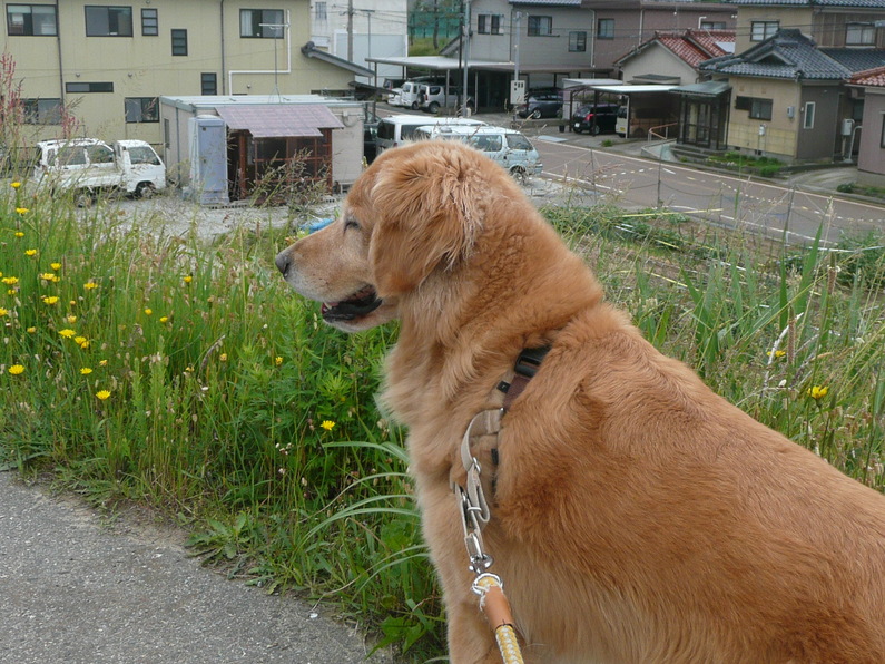 f0114128_17203132.jpg