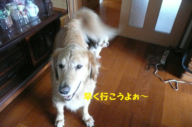 f0114128_175185.jpg