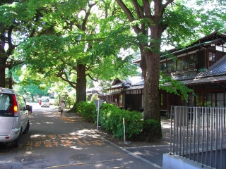 c0153732_0241950.jpg