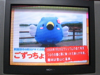 NSTにでてたみたい_f0182936_0484821.jpg