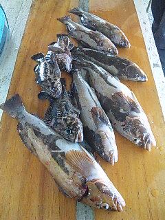 -_b0128238_1144237.jpg