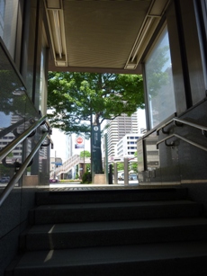 b0169238_20124894.jpg