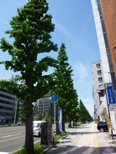 b0169238_20133100.jpg