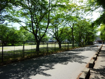 b0169238_20195578.jpg