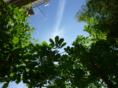 b0169238_20301916.jpg