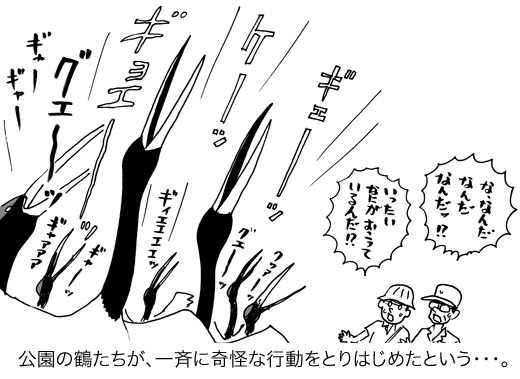 5月29日(土)【日本ハム−阪神】(札幌ドーム)2ー4○_f0105741_8355758.gif