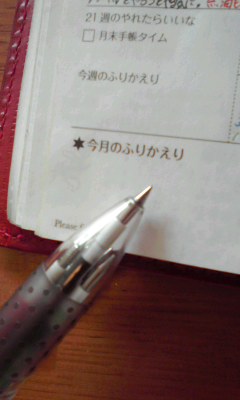 100628 月末手帳タイムでふりかえろう!_f0164842_1453533.jpg