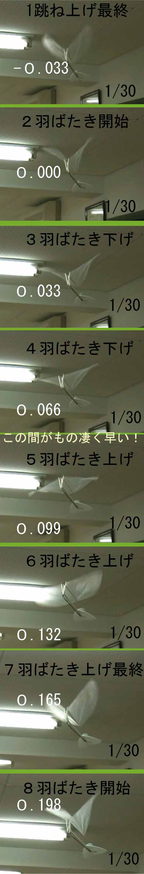 羽ばたき機の羽ばたき周期 トラタヌレシピ_d0067943_14444491.jpg
