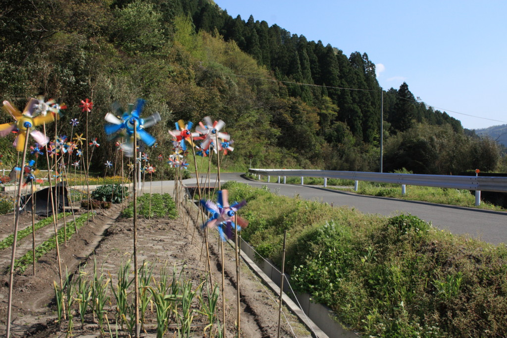 風車(かざぐるま)_f0121044_1151369.jpg