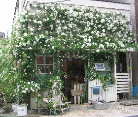 e0172950_0181268.jpg