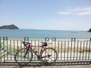 f0229250_20563415.gif