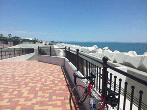 f0229250_2059174.gif