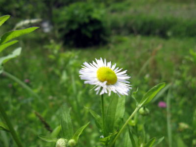 c0147952_22555114.jpg