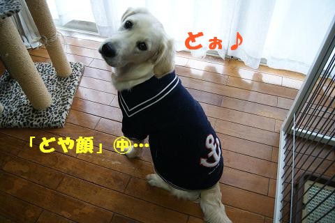 c0214455_1430275.jpg