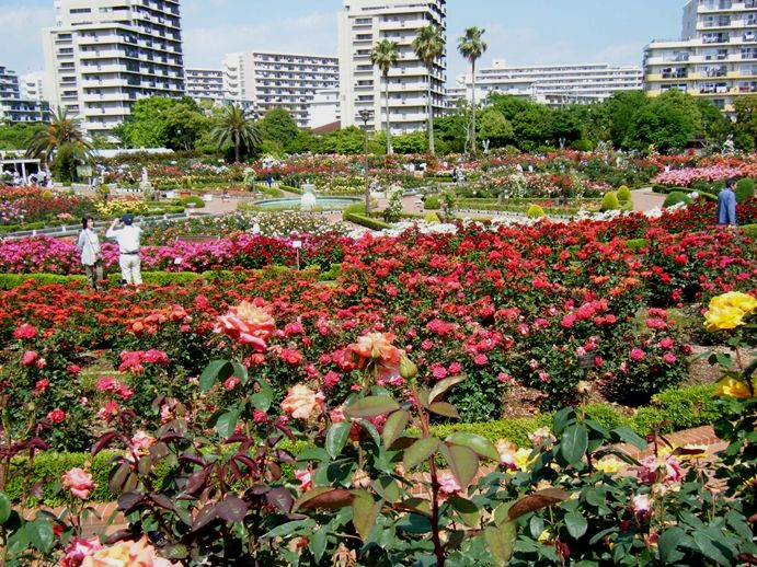 e0129656_2129420.jpg