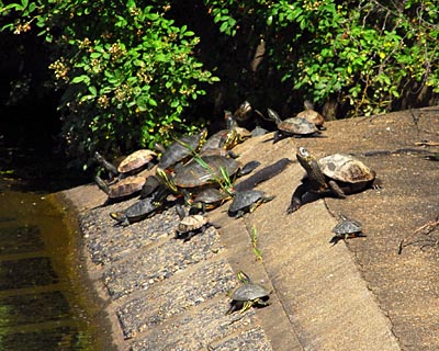e0035757_17521142.jpg
