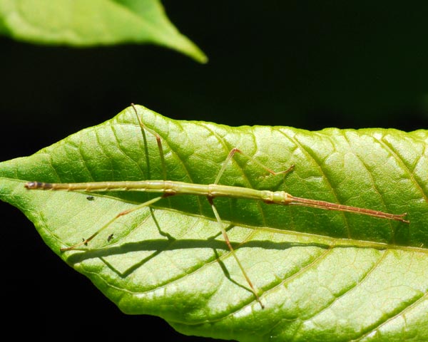 e0035757_17552488.jpg