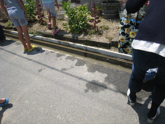 田植え体験ヾ(≧∇≦*)〃ヾ(*≧∇≦)〃 キャー♪_f0109257_19562844.jpg