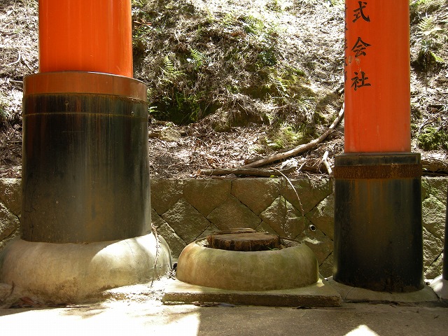 e0162959_72277.jpg