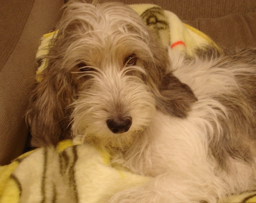 f0217860_93025.jpg