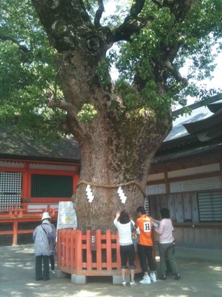 大分のご利益神社_d0069964_703532.jpg