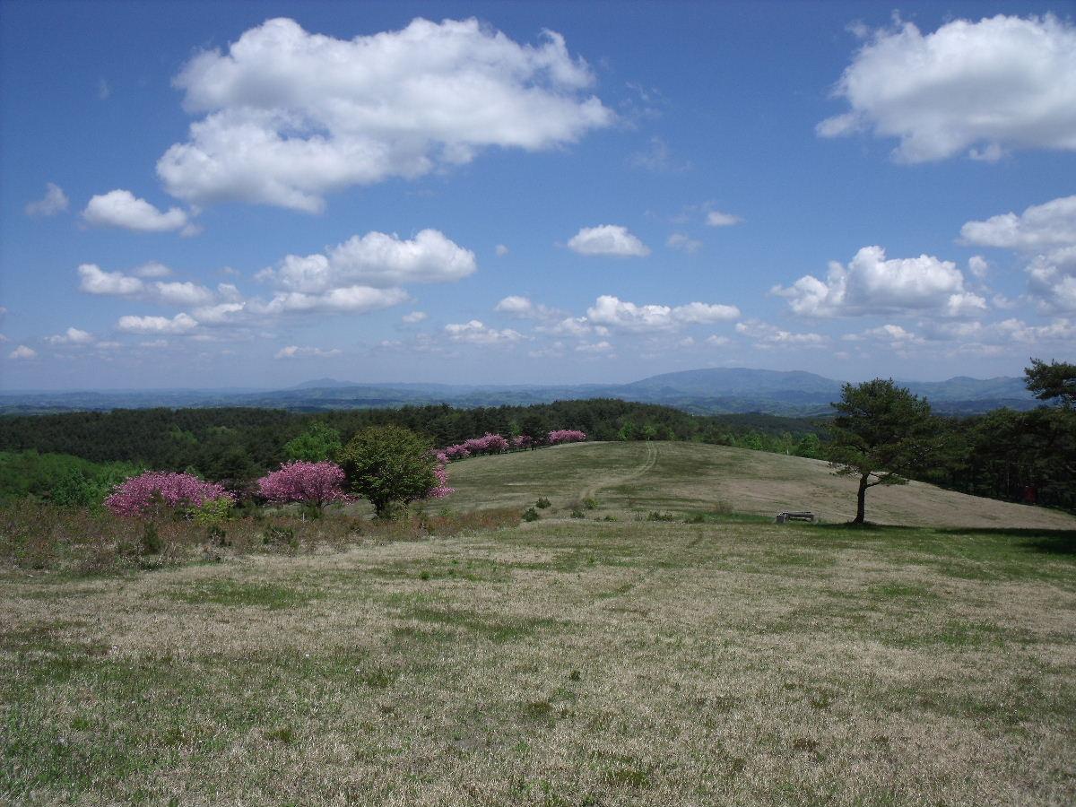 b0067569_2095632.jpg