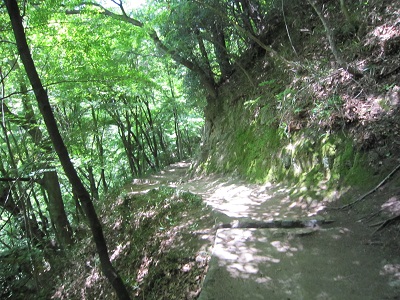 c0224470_22063.jpg