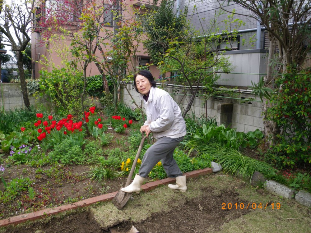 庭に小さな野菜畑を作りました Mrs Terri S Notes 庭に小さな野菜畑を作りました Mrs Terri S Notes