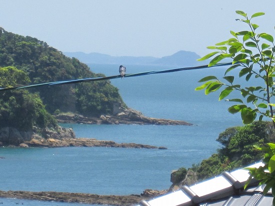 b0182884_15461956.jpg